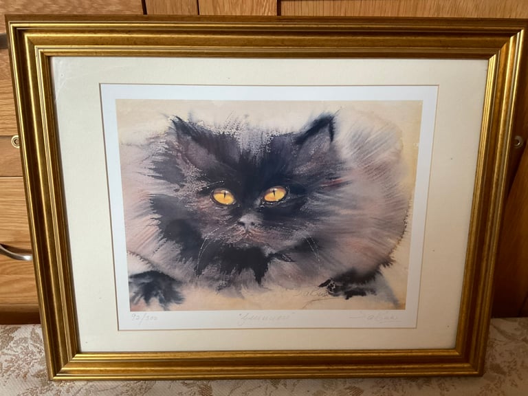 Sakina Jones - Signed& numbered Limited Edition Print - Cat “Guinness”