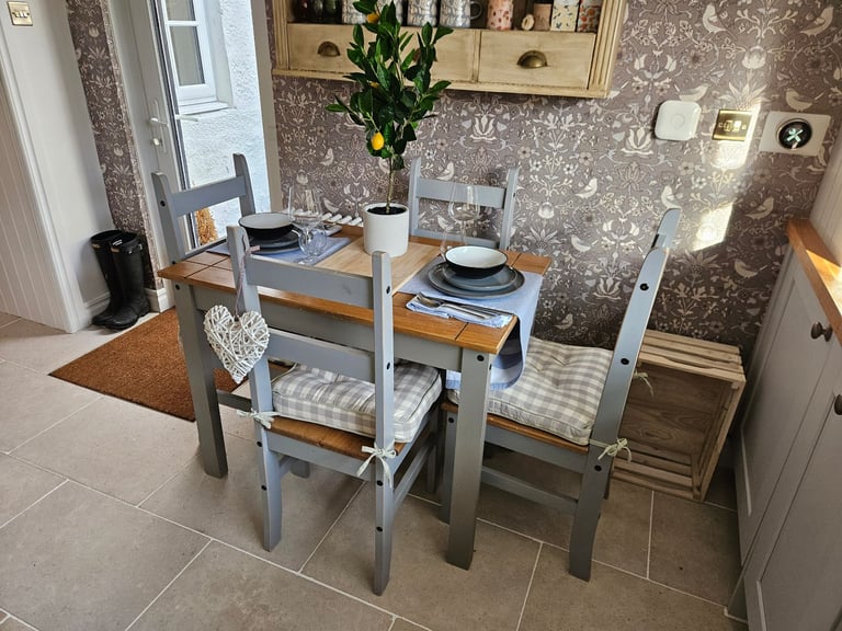 Dining Table and Chairs and cushion pads