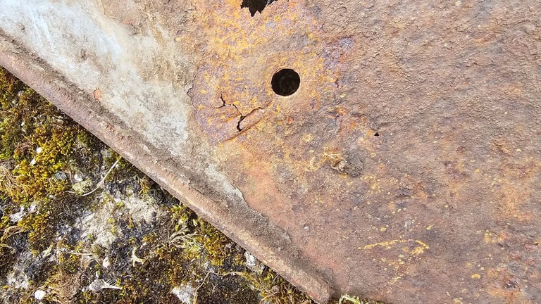 Ferguson TE20 or 35 Original Wing Skins. 