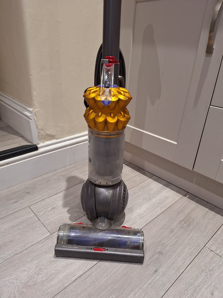 Dyson DC50 