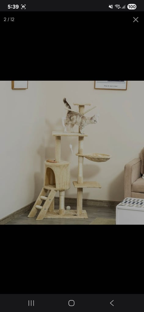 Cream cat tree 