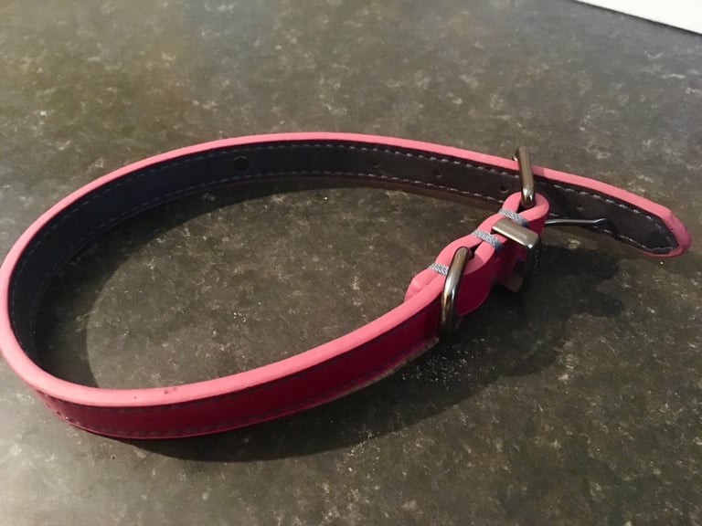 image for Pink Leather Dog Collar 
