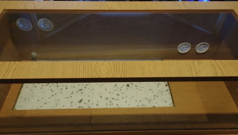 Vivarium 36 X 15 X12 Inches
