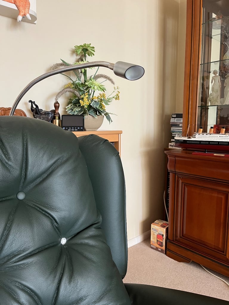 Rise and Recliner chair