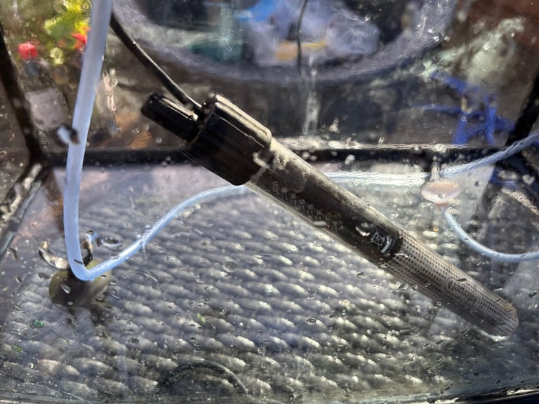 Tropical Fish tank including all you need to start. 