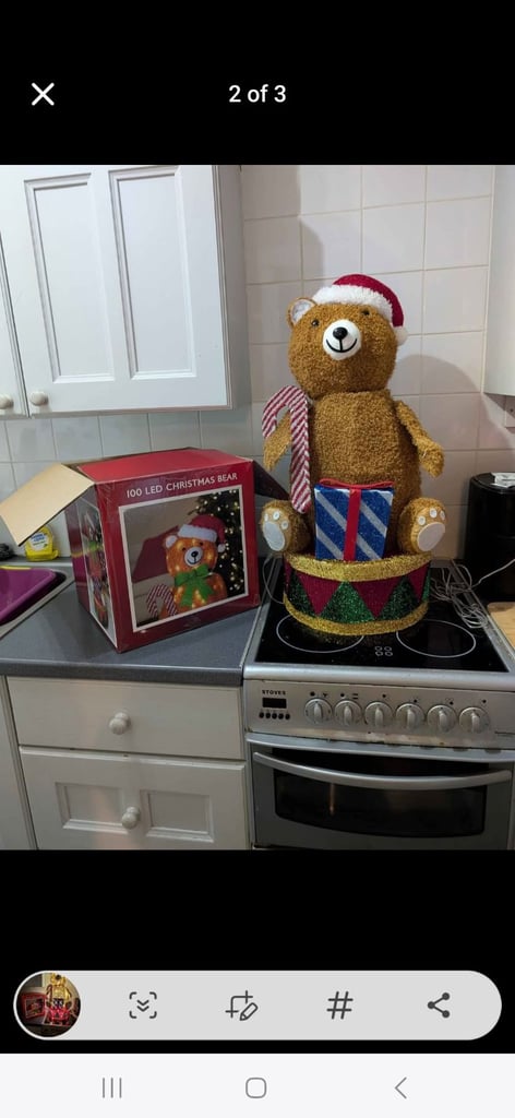 image for Teddy Christmas light 