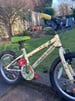 Child’s Bike 