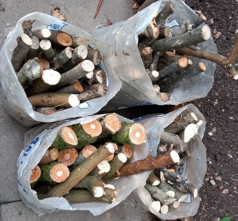 Hardwood branches for burning. 