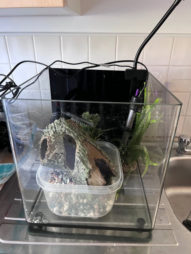 22L Aspire Aquarium