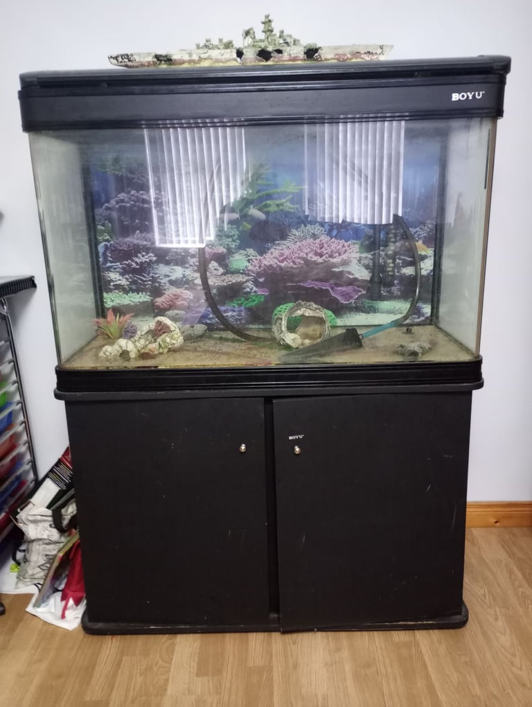 image for Large BOYU fish tank