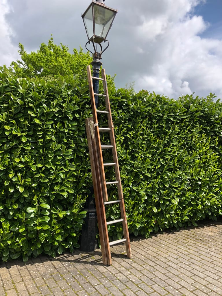 Treble ladder 