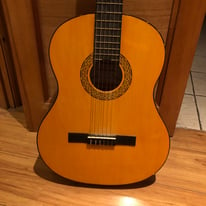 Full size Granada guitar with soft case