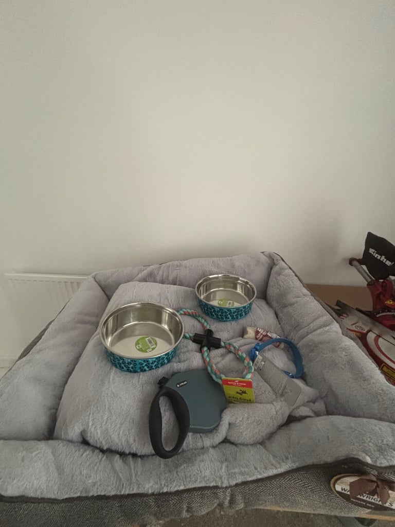 Unused dog accessories ( bought with the intentions of adopting a dog but it never happened)