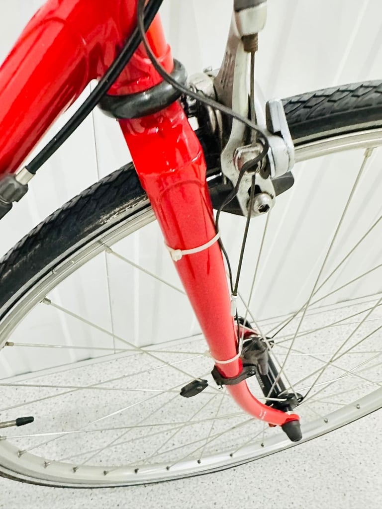 CAMEROON BESPOKE Road Bike Brand New 54 cm Reynolds Tubing 