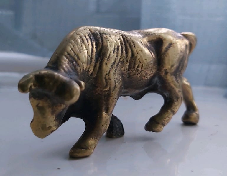 Brass Bull for sale in UK 66 used Brass Bulls