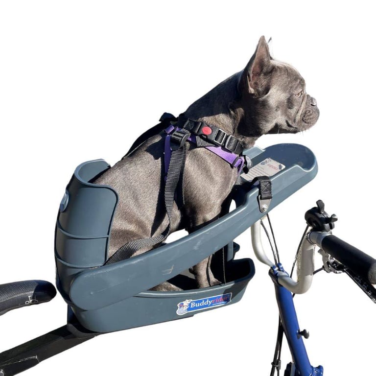 BuddyRider - bike carrying frame for your canine friend
