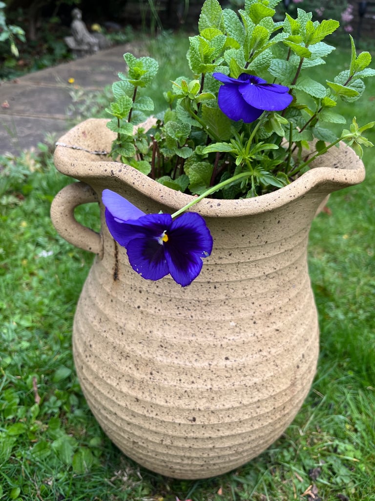 Charming Yellow Terracotta Pot with Fresh Mint Plant | 18cm Diameter, 35cm Height