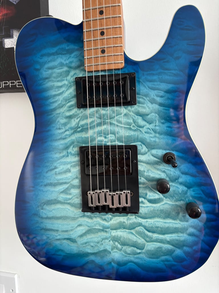 image for Schecter pt pro ( swap ) 