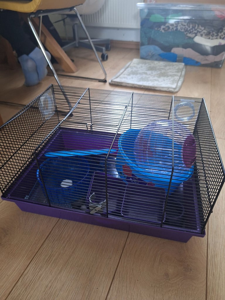 Hamster cage and accessories 