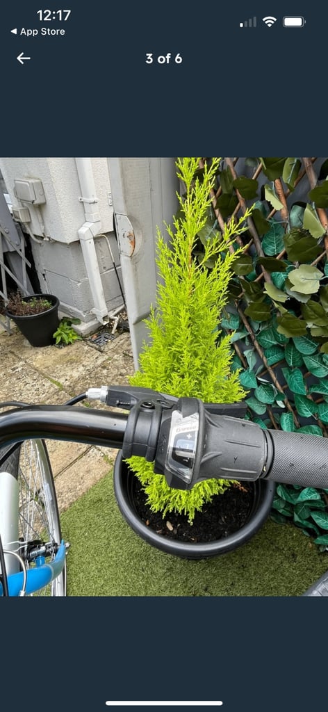 Ladies bike for sale 