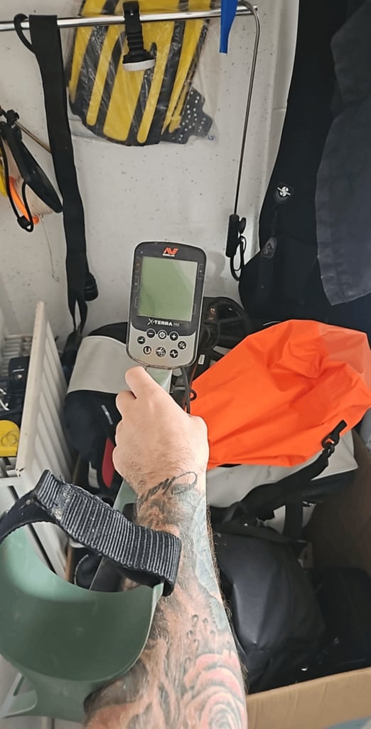 image for Metal detector & pointer