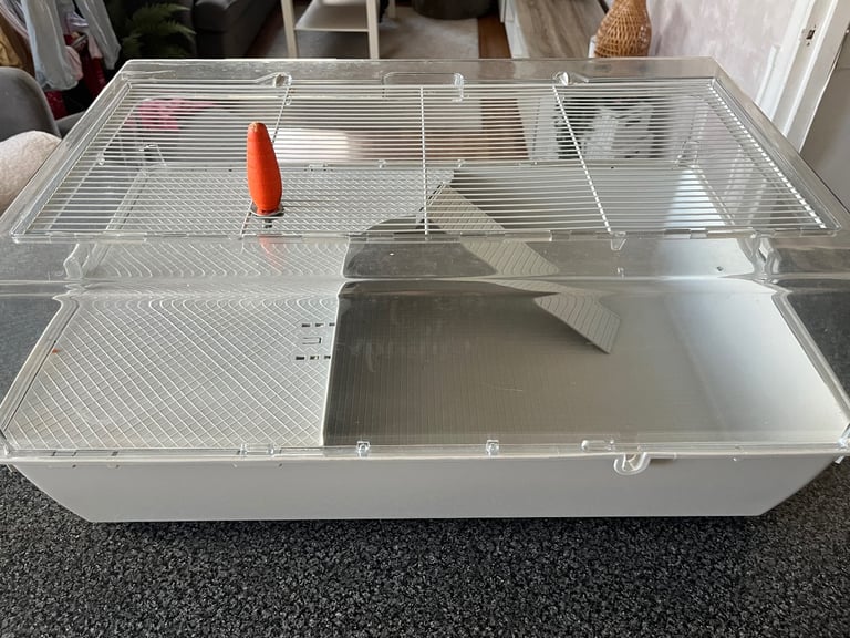 Hamster with wood & bedding