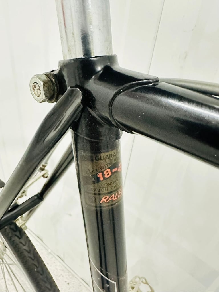 RALEIGH RECORD Size/L Fully Serviced 10 Speed Road Bike WARRANTY 