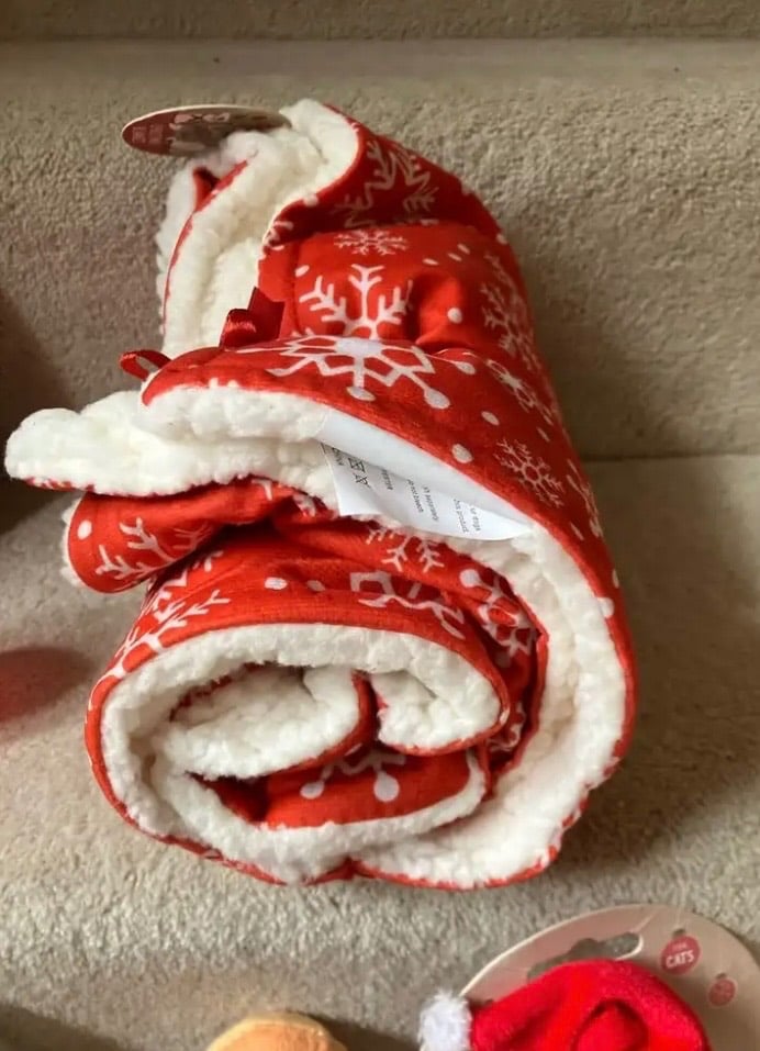 Cupid & Comet pet Christmas Blanket/Webbox bungee toys and other cat toys and teasers