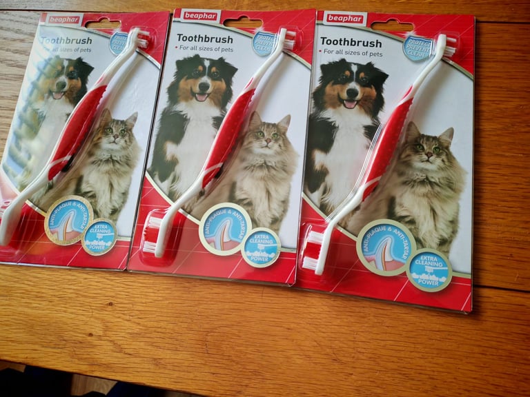 Dog toothbrushes. 
