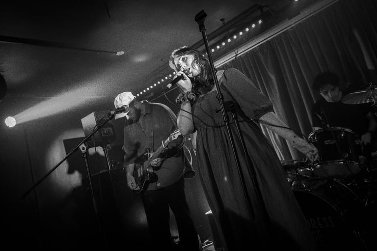 image for South London Based Post-Punk Band Seeks Guitarist (and ideally keys/synth player!) 