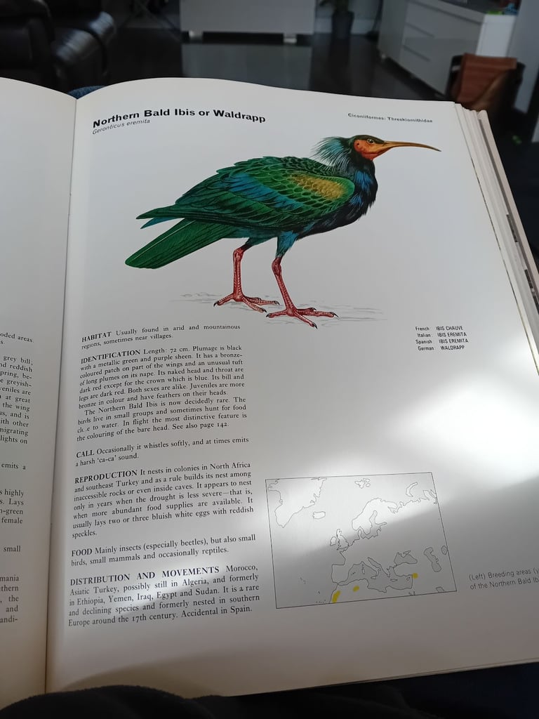 Set of five bird encyclopedia 