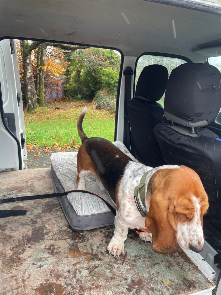 Suzuki, CARRY, Panel Van, 2005, Manual, 1298 (cc)