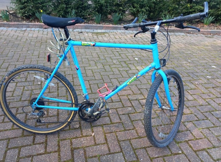 Raleigh montage vintage bike