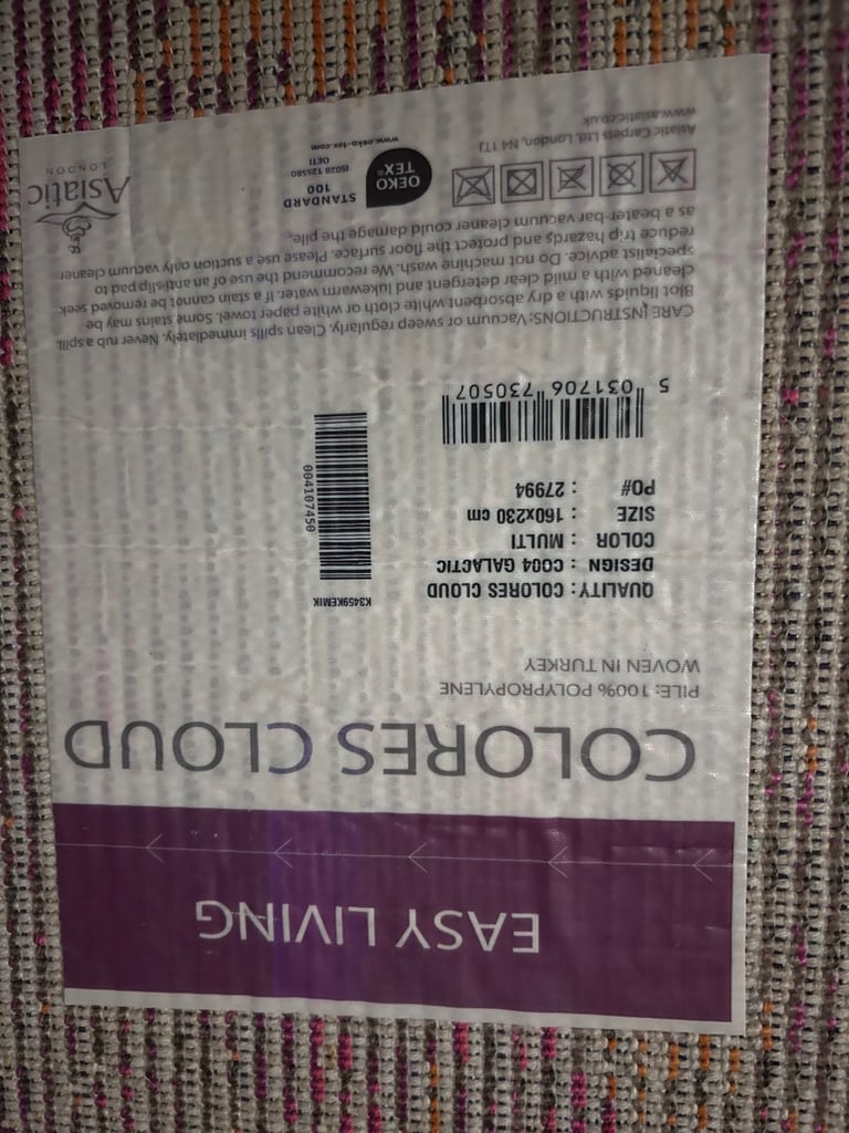 Multi coloured rug