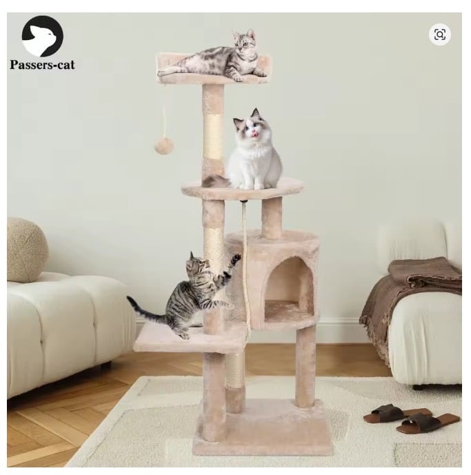 image for Cat play house 