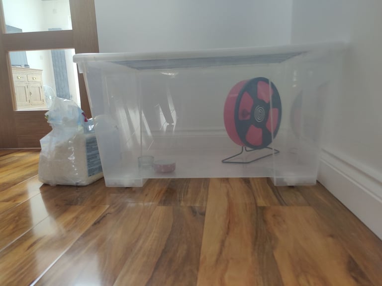 Hamster cage & wheel