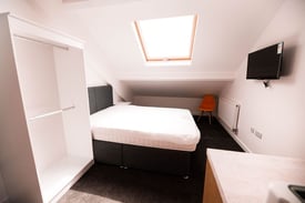Superb En-suite Rooms for students and young professionals, Brynmill 