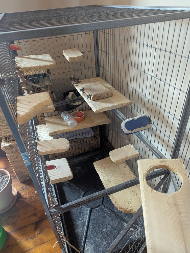 Chinchilla or degu cage