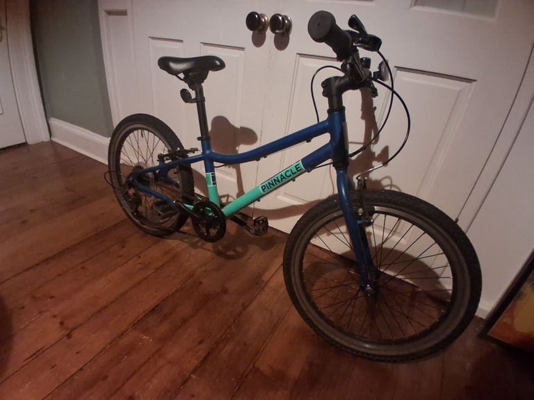 Kids Bike 20inch Pinnacle Ash