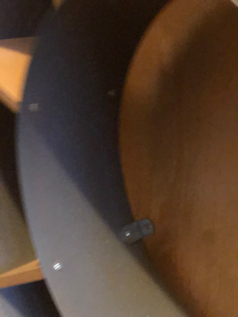 Designer style Kare snail wall shelf 