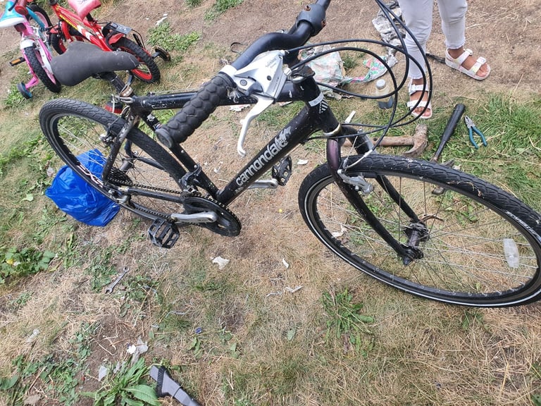 image for Bicycle 🚲 