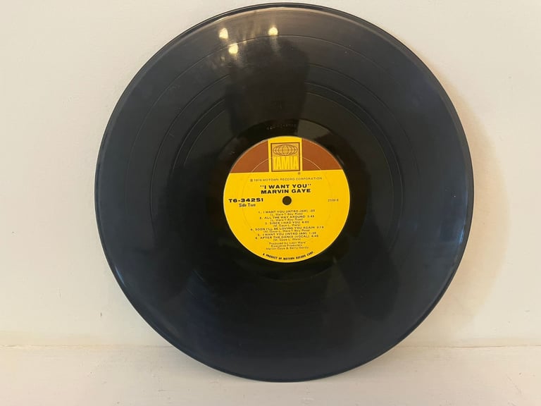 Marvin Gaye - I Want You 12" Vinyl Record, Tamla
