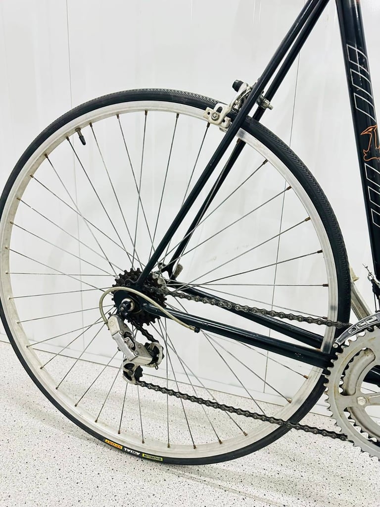 RALEIGH RECORD Size/L Fully Serviced 10 Speed Road Bike WARRANTY