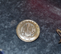 rare NUMBERED bronze  south AFRICA *LUG** LADIES GOLF UNION HANDICAP BADGE