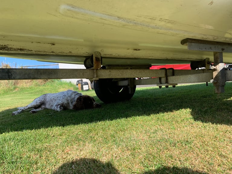 12 ft fibreglass boat and galvanised trailer 