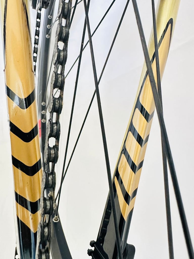 BIANCHI 928 Carbon Size/M Campagnolo Groupset Road Bike WARRANTY 