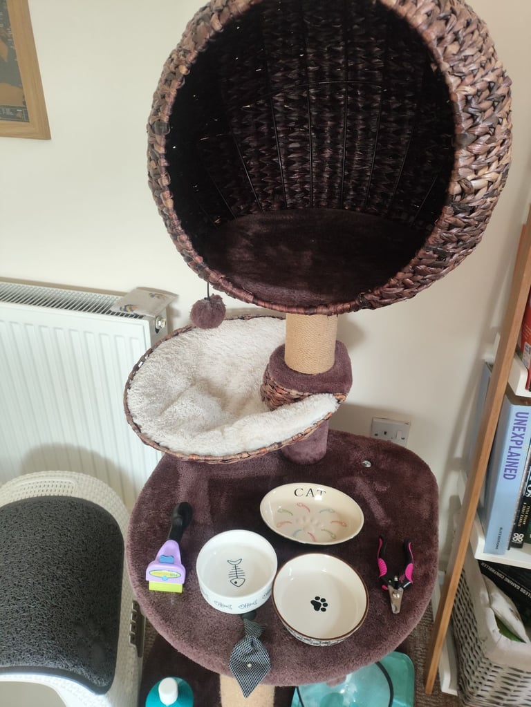 Huge Bundle of Equipment for Cats! Very good condition!