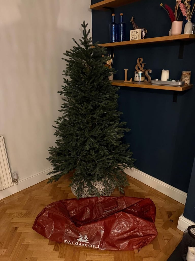 Balsam Hill Christmas Tree 