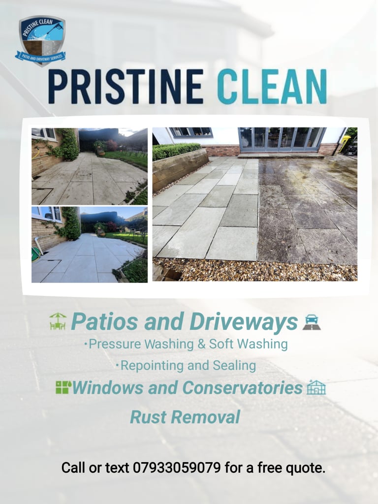 image for Pristine Clean