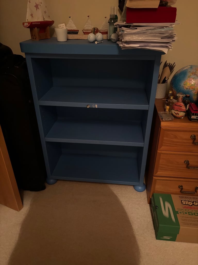 Blue Bookcase 